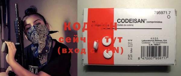 твердый Богородицк