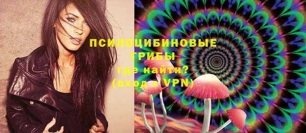 прущая мука Бородино