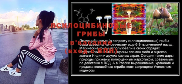 а пвп мука Богданович