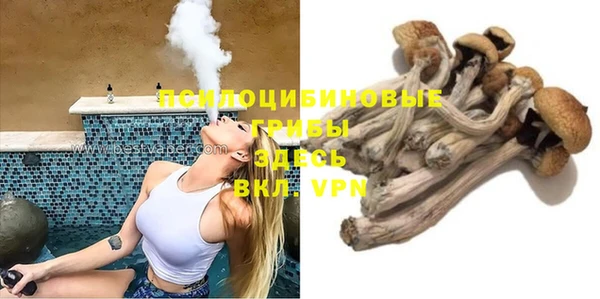 первитин Богородск