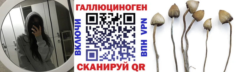 купить закладку  Кондопога  Галлюциногенные грибы Psilocybine cubensis 